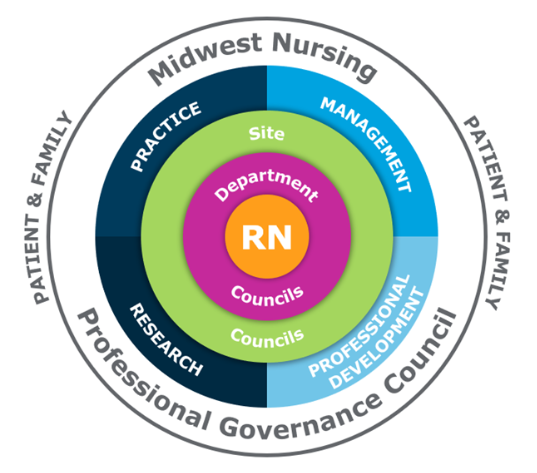 PROFESSIONAL GOVERNANCE COUNCIL PROFESSIONAL GOVERNANCE COUNCIL Graphic